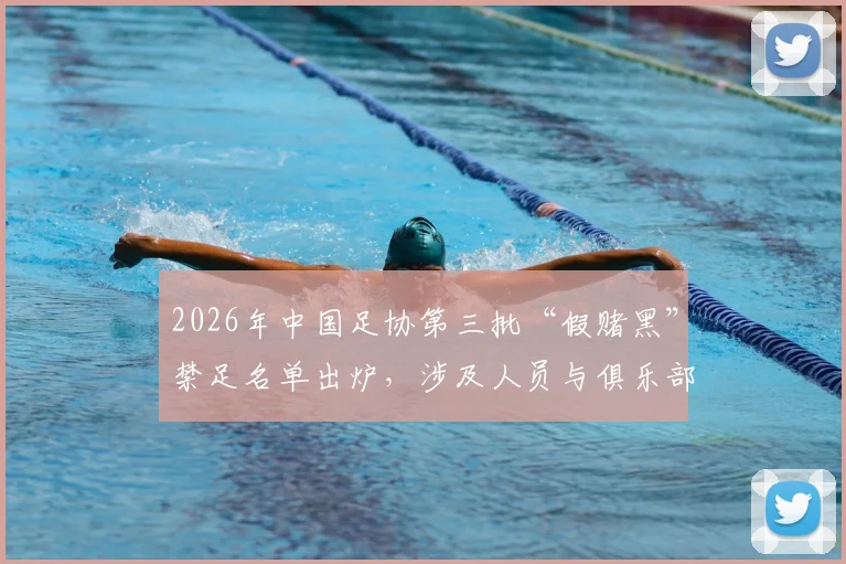 2026年中国足协第三批“假赌黑”禁足名单出炉，涉及人员与俱乐部影响深度分析，球迷热议